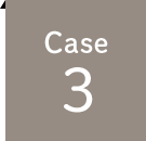 case 3